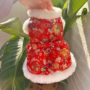 宠物衣服秋冬新款 裙子泰迪比熊狗狗猫咪过年拜年服 加绒新年服唐装