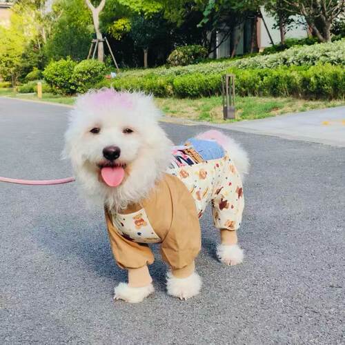 狗狗防尘裤遛弯裤春秋防脏防虫轻薄四脚裤护腿小型犬春季宠物衣服