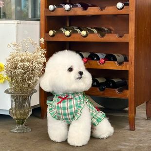 宠物衣服公主裙居家服泰迪比熊博美猫咪服饰 格子衫 夏季 泡泡袖