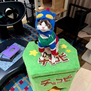 宠物狗狗狗猫咪棉服比熊秋冬小狗冬季 加厚连帽保暖小型衣服萌趣