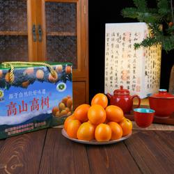 新鹭高山高树遂川金桔4斤装新鲜水果整箱拒绝膨大剂油皮