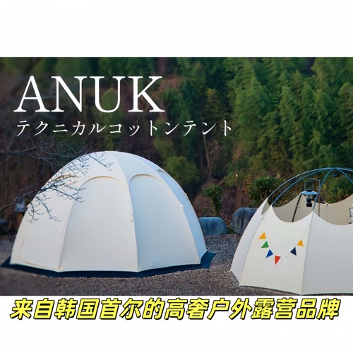 韩国高奢八角穹顶球形星球帐篷
