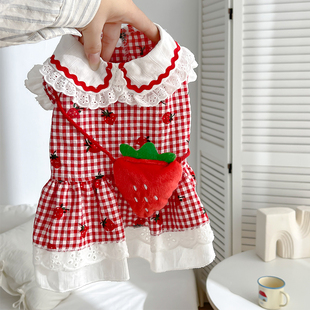 宠物衣服狗狗春秋2025新款小型幼犬泰迪比熊夏天小奶狗公主裙薄款