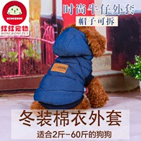 Chó lớn nhỏ lông chó lông dày mùa thu và mùa đông mặc quần áo thú cưng hai chân Teddy Husky cạnh quần áo chăn nuôi - Quần áo & phụ kiện thú cưng phụ kiện cho thú cưng