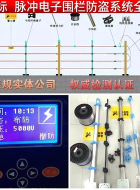 国标脉冲电子围栏系统全套高压张力报警主机围墙防盗电网配件定制