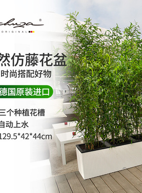 Lechuza德国进口树脂花盆绿植自吸水高档仿藤阳台室外庭院trio 40