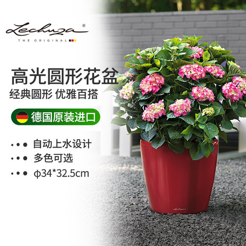 自吸水欧式创意环保树脂