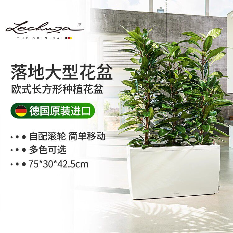 Lechuza德国自动上水花盆功能可移动落地室内特大号树脂cararo 75