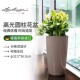 Lechuza德国进口花盆酒店客厅自动吸水欧式 树脂大号圆筒rondo