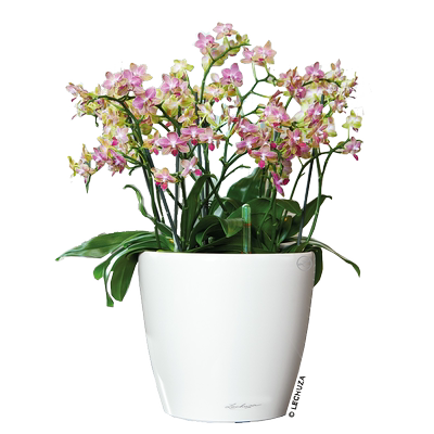 树脂欧式简约德国进口花盆