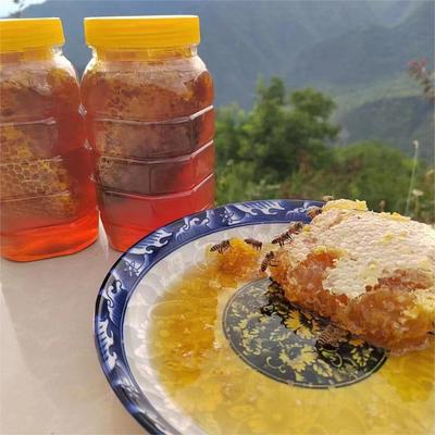 秦岭黑河国家森林公园 土蜂蜜纯正天然野生 每年采割一次 2斤装