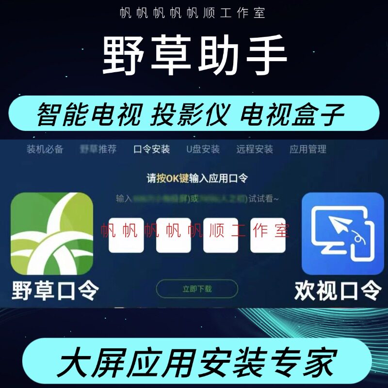 野草助手 口令安装包电视下载安装第三方软件应用App