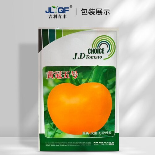 金顿黄冠五号番茄种子成活高好种植袋装酸甜可口盆栽西红柿种籽孑