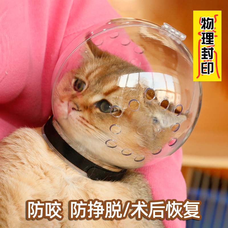 猫头套防咬打架猫咪太空头罩洗澡剪指甲防抓舔伤宠物狗神器头盔球-封面