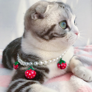 宠物珍珠项链草莓铃铛可调节项圈高贵公主范小型犬小猫咪泰迪比熊