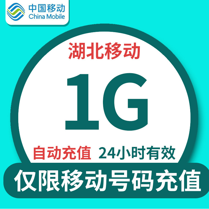 湖北移动流量充值1G日包 全国通用自动充值24小时有效