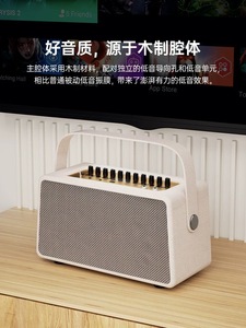 雷登E30 家庭ktv音响套装家用户外一体机话筒麦克风唱K歌全套音箱