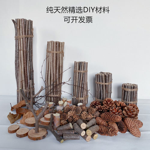 墙壁干树枝装饰松果diy