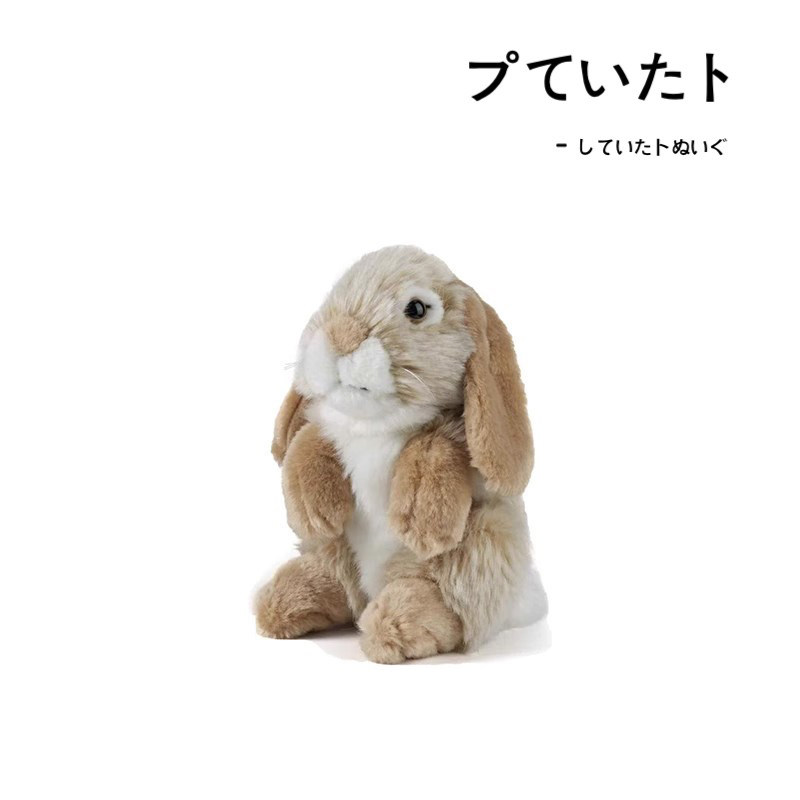 LivingNature美国正版兔子公仔