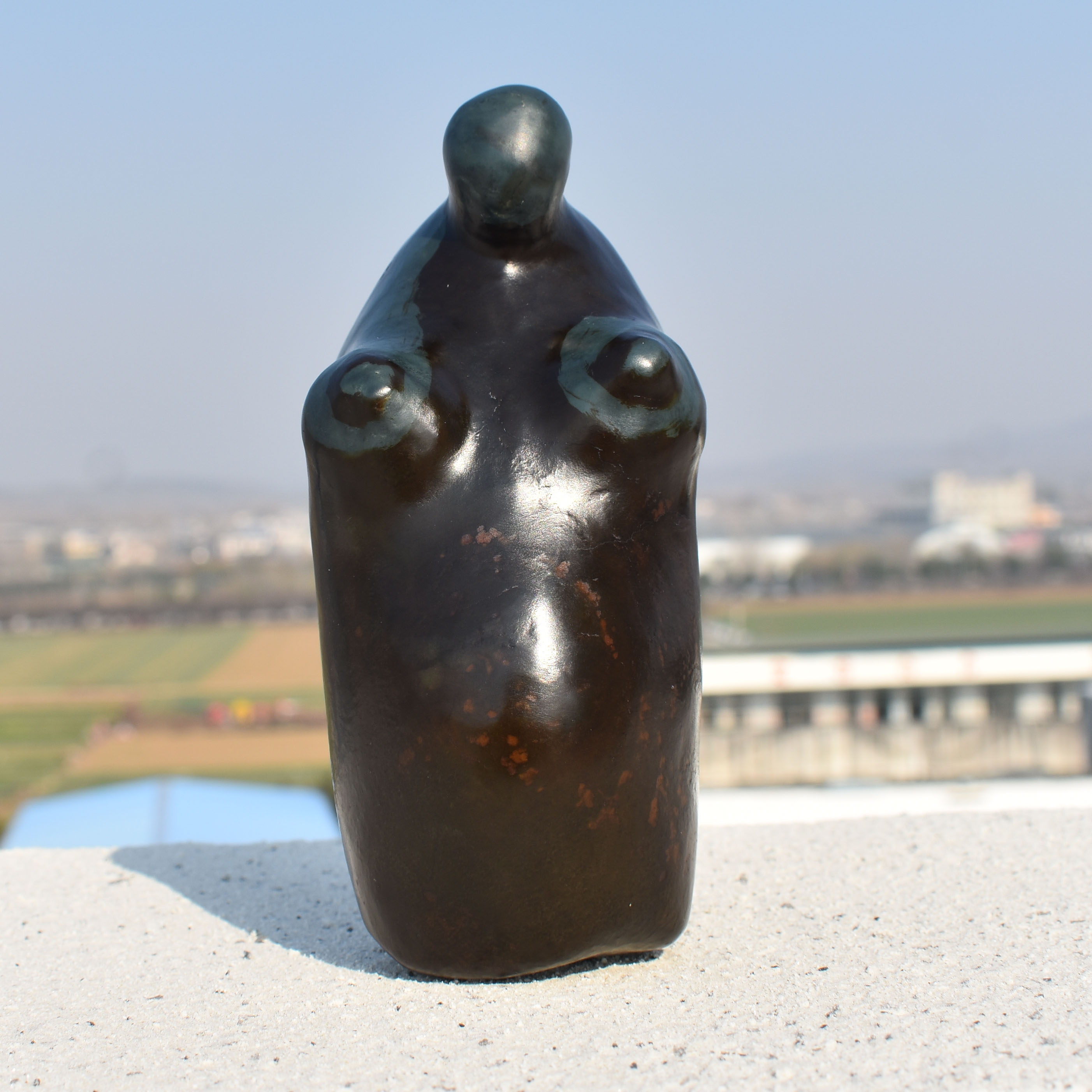 震惊了方言和田玉镇店金鹿皮蓝色蓝玉原生籽料异型意境原石玩料R1