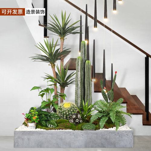 松雨仙人掌田园风格景观可开发票