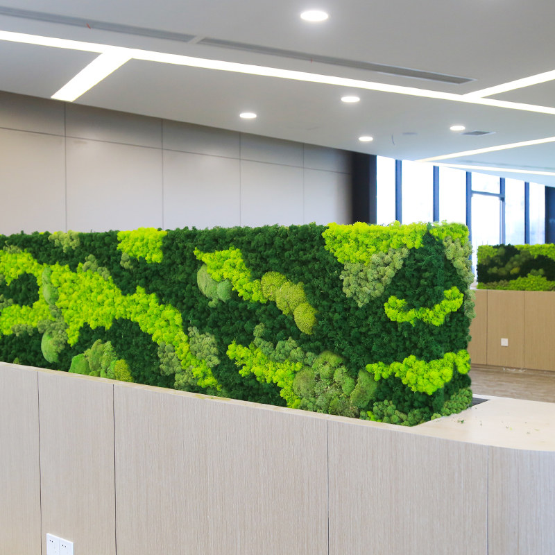 苔鲜定制绿植墙仿真花花墙diy材料植物墙微景观永生苔藓墙体装饰