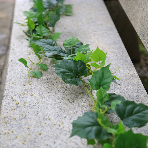 仿真绿植藤条吊顶装饰墙面管道