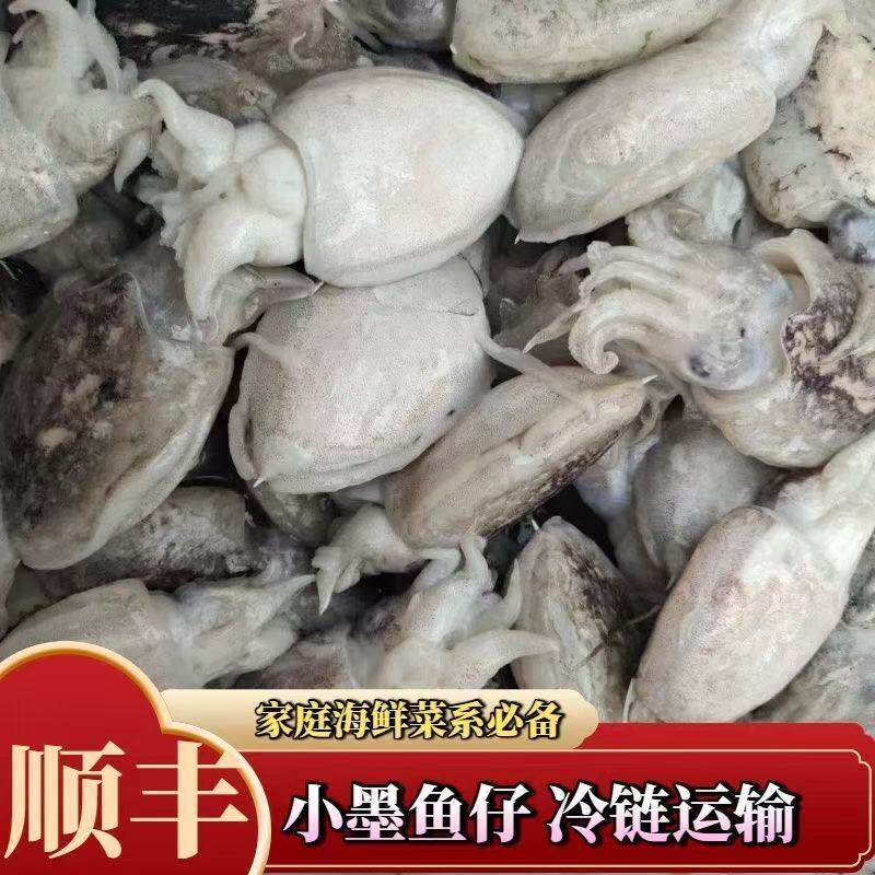 【顺丰】鲜冻墨鱼仔小崽小墨鱼乌贼八爪章鱼生鲜冷冻水产海鲜