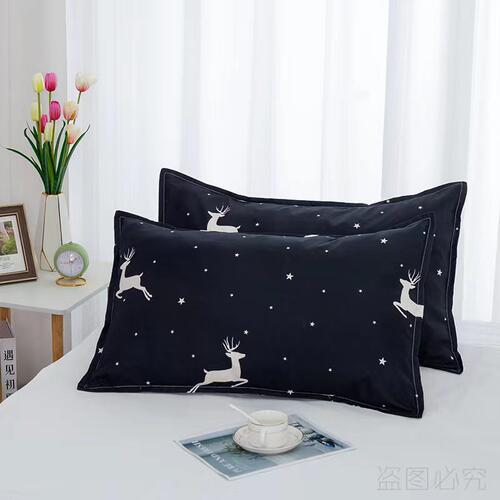 四季款枕头套枕头罩一对新款涤纶卡通学生宿舍枕芯套可爱儿童成人