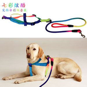 宠物狗狗牵引绳中小型犬项圈牵引带胸背带比熊贵宾泰迪七彩颜色