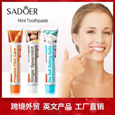 跨境toothpaste薄荷牙膏100g蜂胶海盐生姜清洁牙垢固齿清新口气