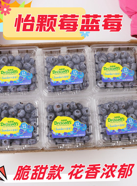 蓝莓当季限量版怡颗莓脆甜