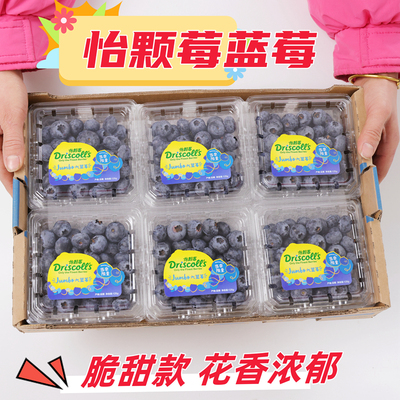 蓝莓当季限量版怡颗莓脆甜