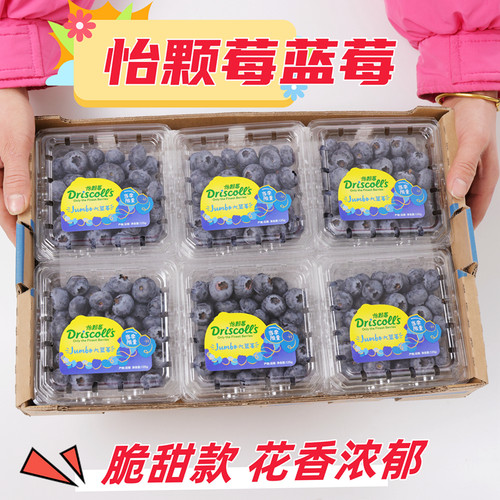 蓝莓当季限量版怡颗莓脆甜