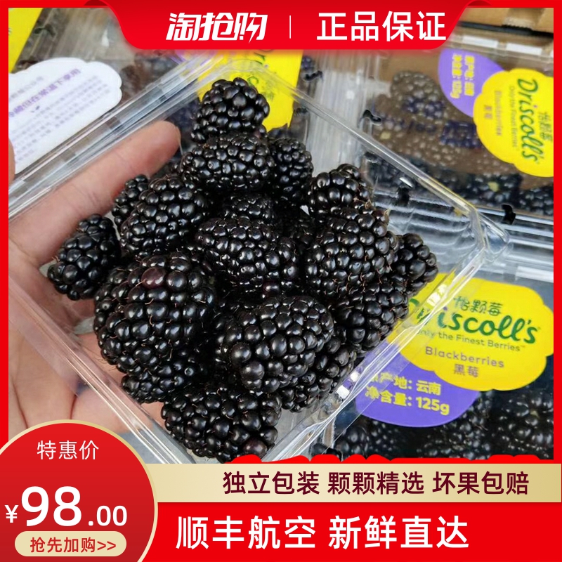 云南怡颗莓黑莓新鲜覆盆子水果黑树莓果酸甜桑葚125g/盒顺丰包邮