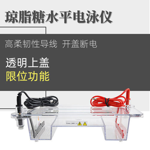 六一琼脂糖水平电泳仪电泳槽