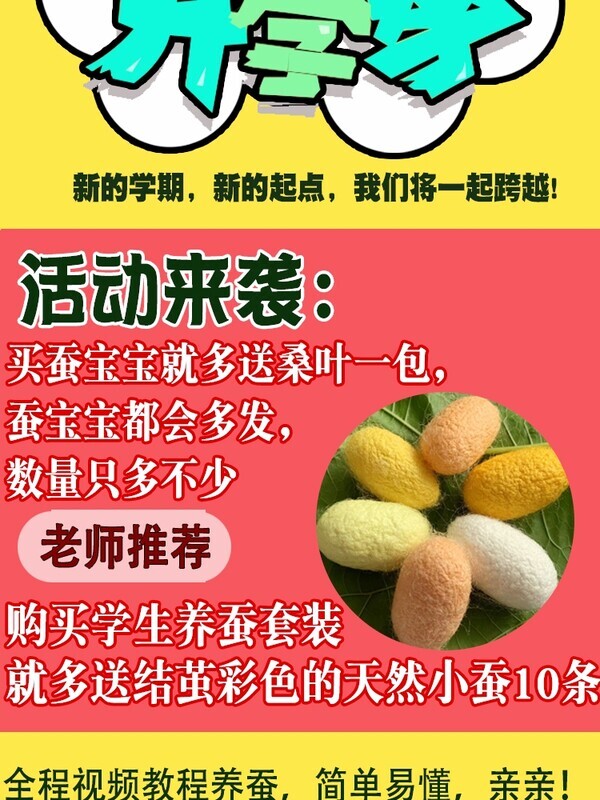 学生科学养蚕宝宝活体套装七彩天然彩色蚕春蚕卵活物桑叶新鲜顺丰