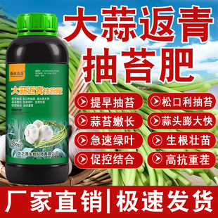 【官方正品】大蒜返青抽苔肥膨大壮苗扛重茬叶面水溶肥生根健苗