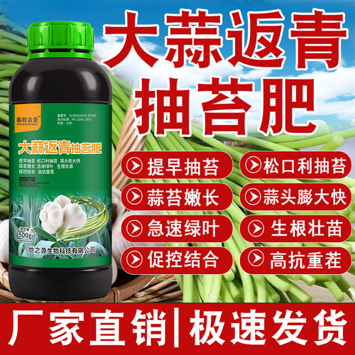 官方正品大蒜返青抽苔肥