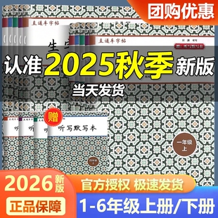 2026新版直通车字帖生字抄写本一二三四五六年级上册下册小学语文看拼音写汉字学习无忧课文识字每日一练教材同步专项训练开源图书