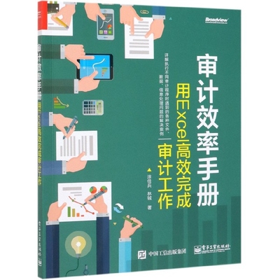 审计效率手册(用Excel高效完成审计工作)