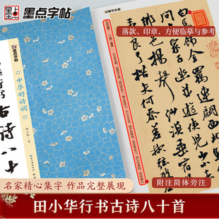 墨点字帖:中华好诗词·田小华行书古诗八十首