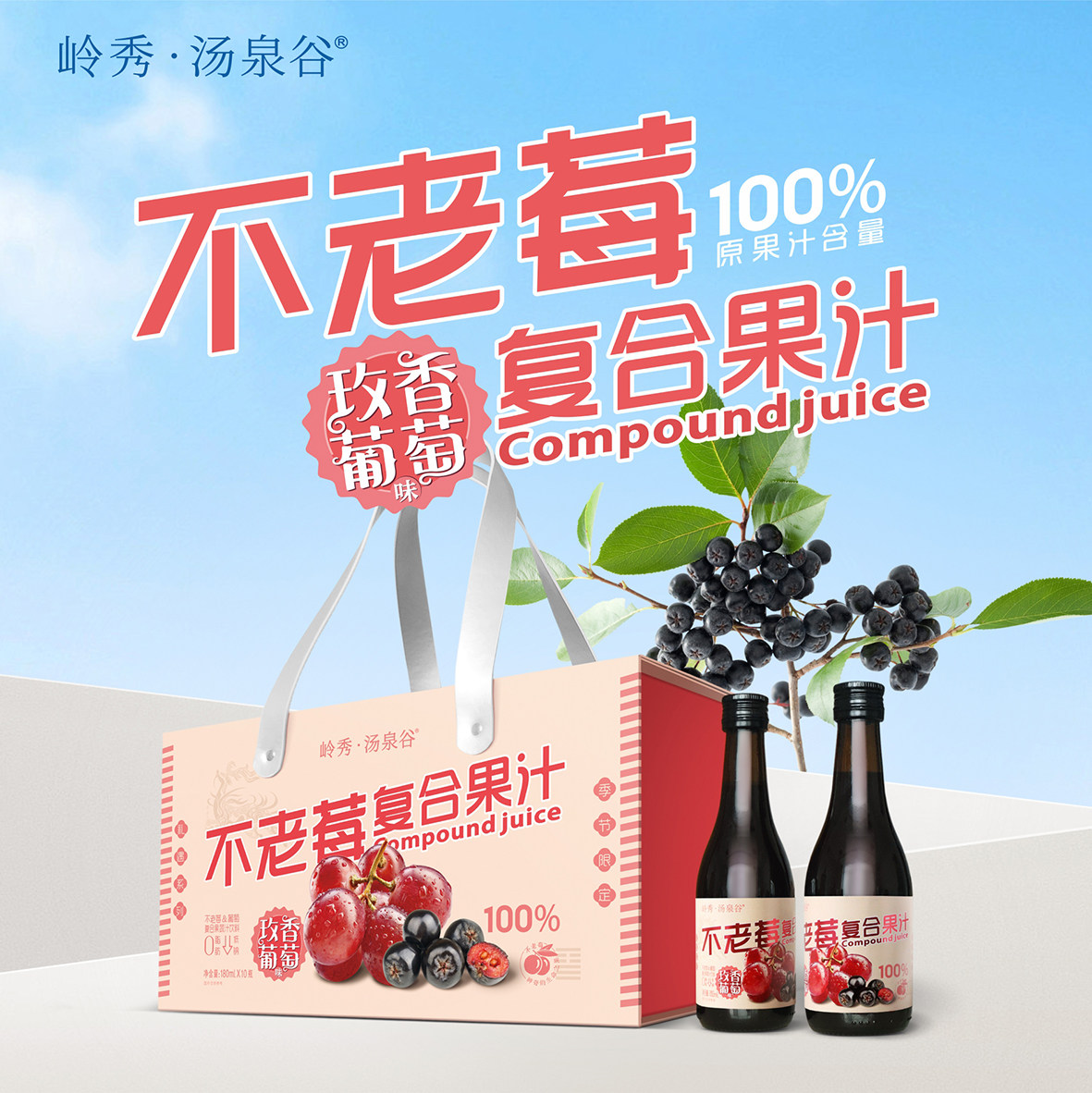 汤泉谷不老莓蓝莓葡萄果汁礼盒