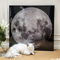 月球拼图1000片成年高难度创意男女礼物益智铝合金月亮相框装裱框