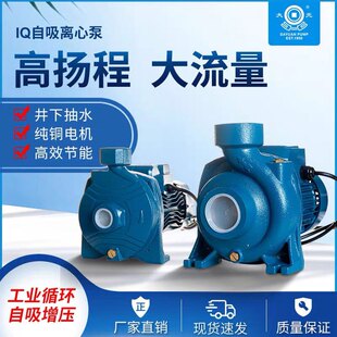 大元 工业农用灌溉抽水机高杨程大流量离心增压泵IQ 离心管道泵卧式