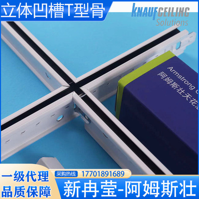 阿姆斯壮4000型立体黑线龙骨