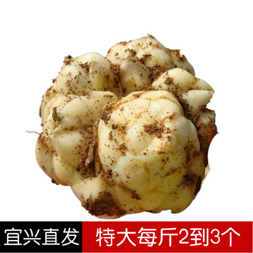 宜兴百合每斤全国大部省份