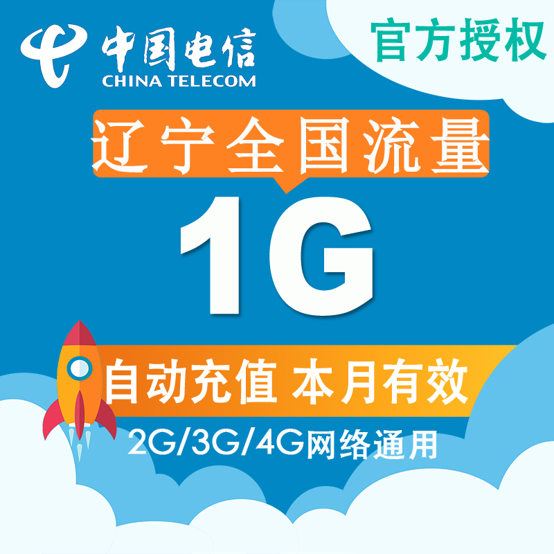 辽宁全国电信流量充值 1G手机流量充值卡4G/3G/2G 当月有效Z