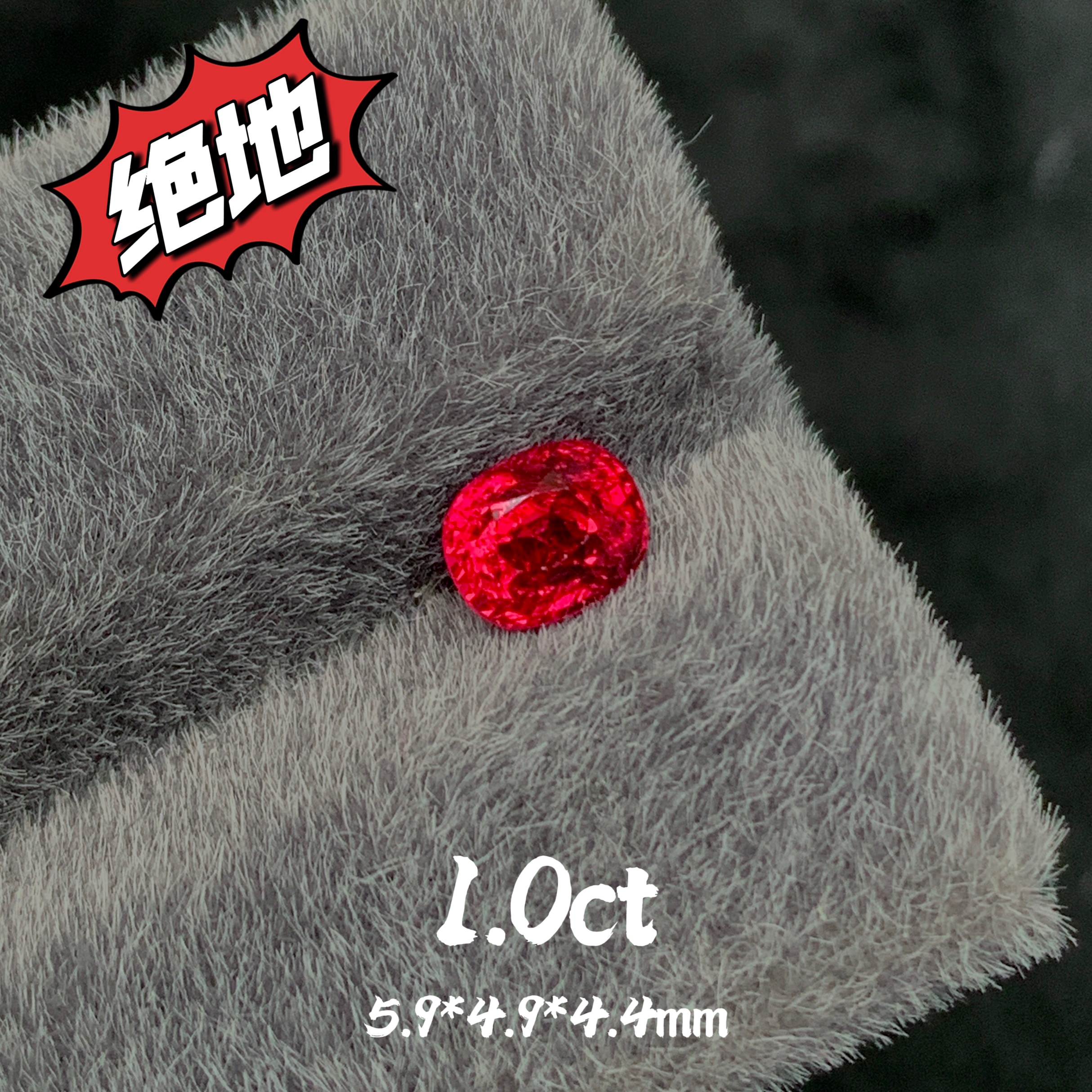 缅甸绝地武士/吉尔德证书