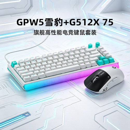 【顺丰】 罗技GPW5雪豹无线游戏鼠标狗屁王五代电磁微动磁轴